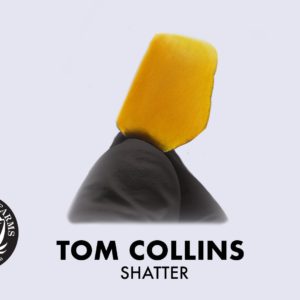 TRADECRAFT EXTRACTS SHATTER: TOM COLLINS