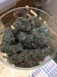 marijuana-dispensaries-top-20-in-van-nuys-training-day