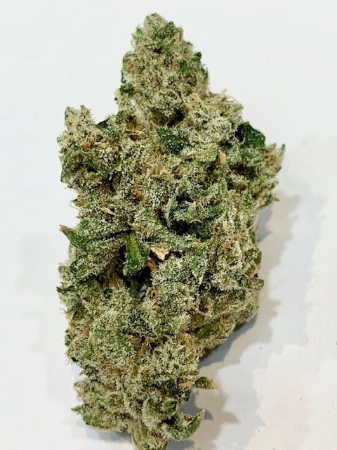 marijuana-dispensaries-2873-sierra-hwy-rosamond-trainwalker