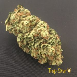 Trap Star (Garden)