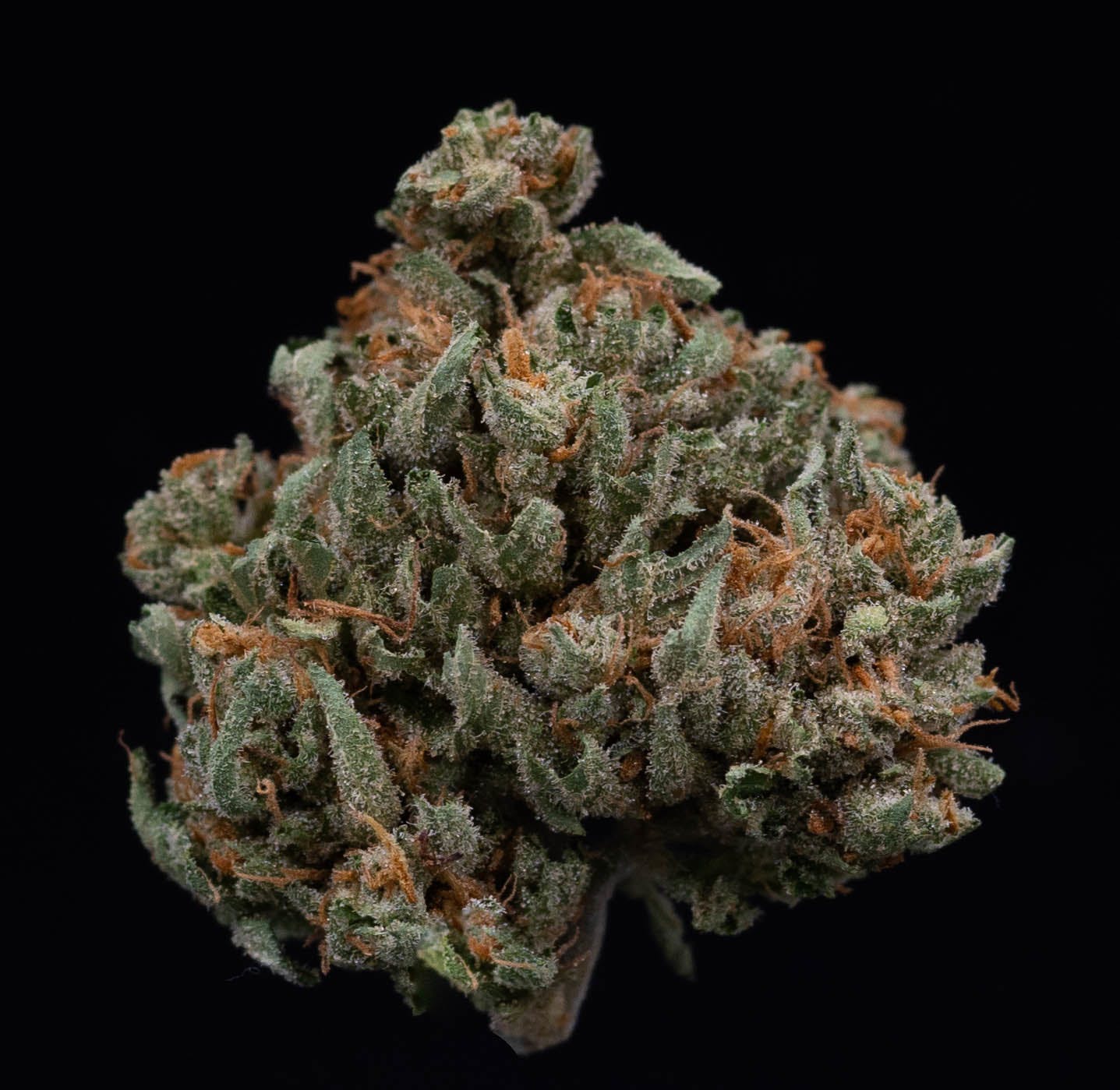 marijuana-dispensaries-1301-ne-broadway-portland-tre-og-heroes-of-the-farm