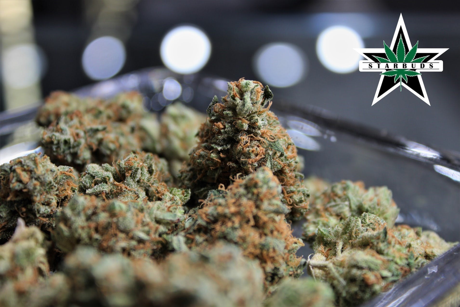 marijuana-dispensaries-5975-belair-rd-baltimore-tre-og-premium