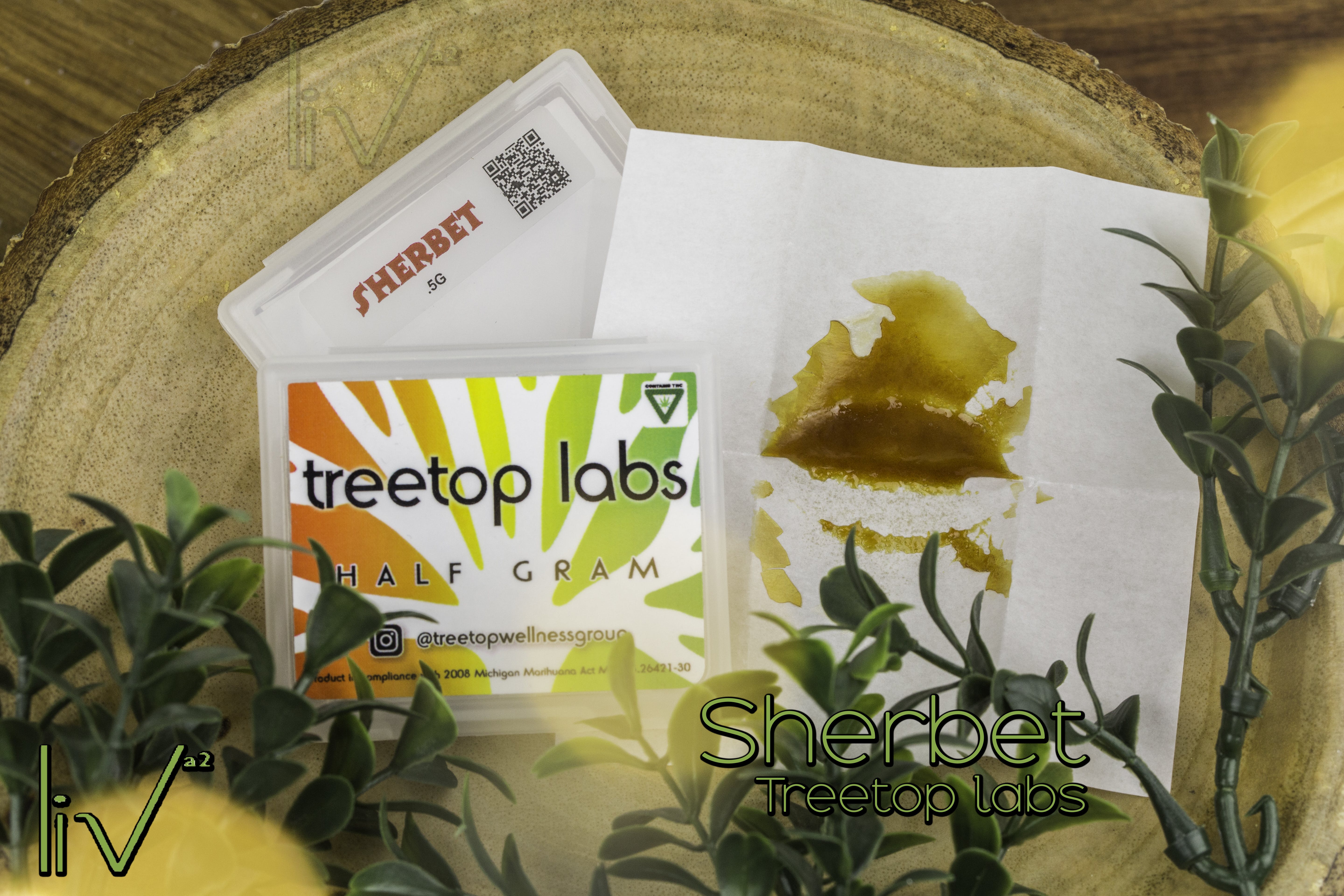 wax-tree-top-labs-5g-cured-resin-sherbet