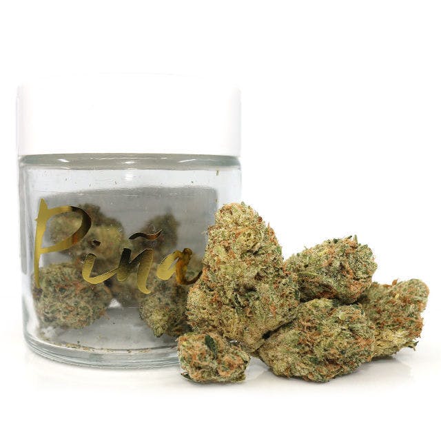 marijuana-dispensaries-2442-bayshore-blvd-san-francisco-tres-fighter-pina