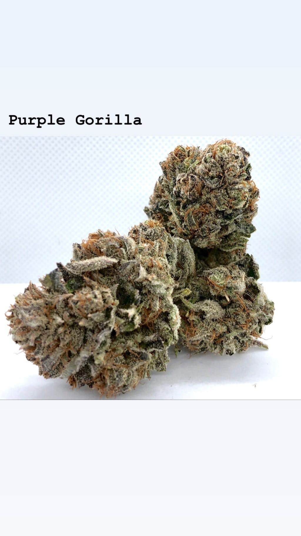 marijuana-dispensaries-2000-harbor-blvd-suite-23a106-costa-mesa-tribal-purple-gorilla