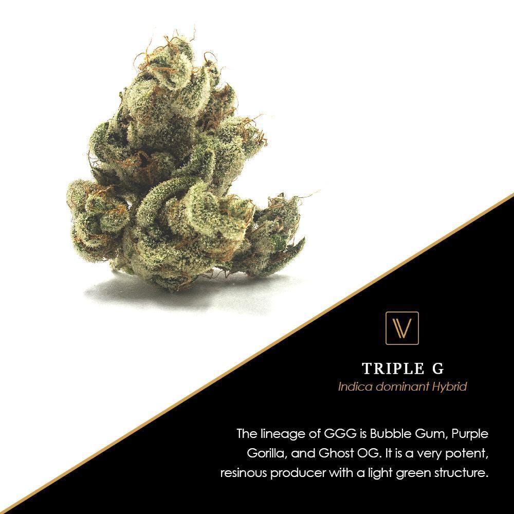 marijuana-dispensaries-planet-13-in-las-vegas-triple-g-virtue