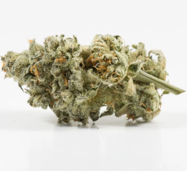 marijuana-dispensaries-7304-michigan-ave-detroit-trix