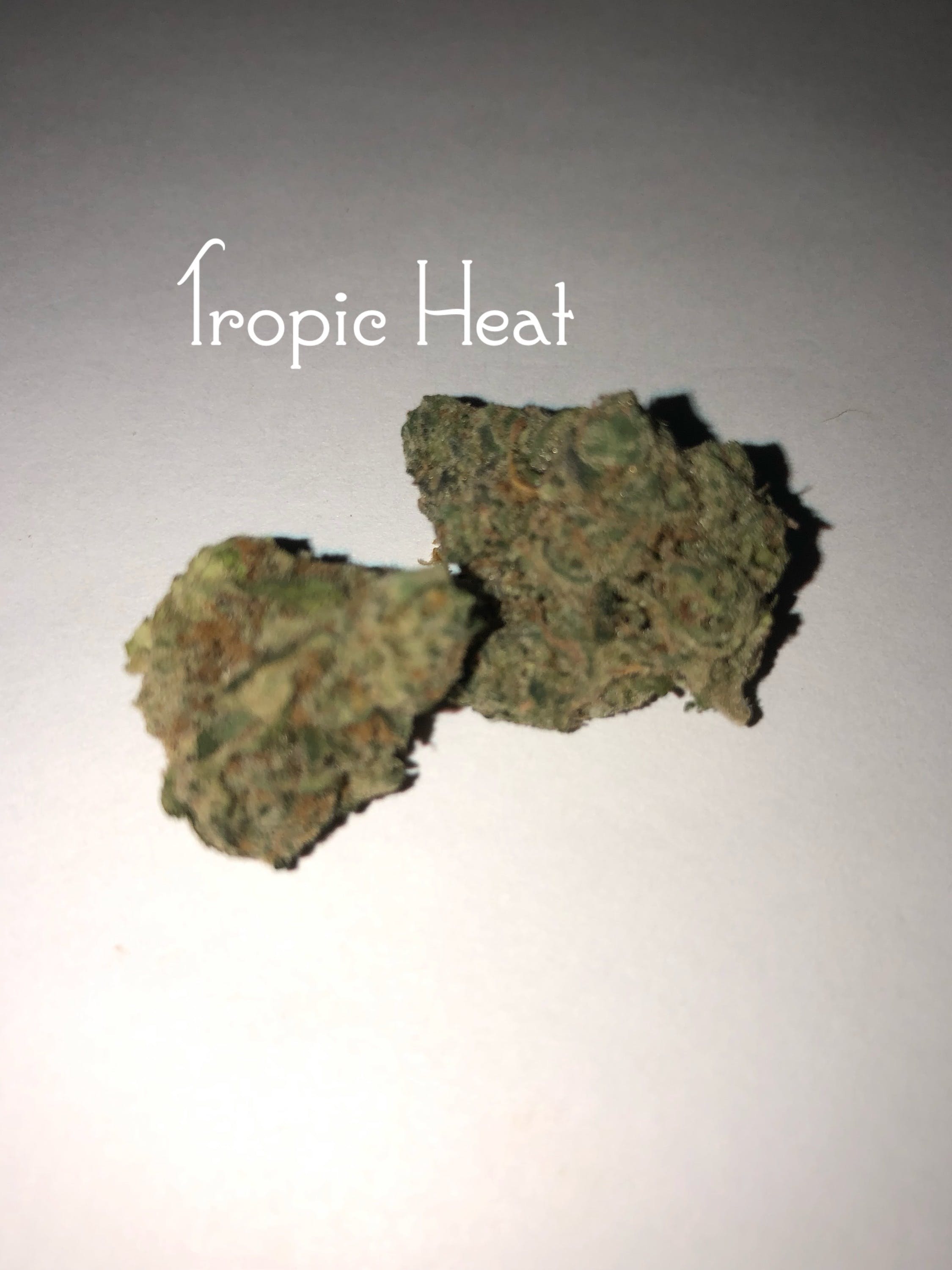 marijuana-dispensaries-mmmp-collective-powered-by-green-light-district-in-mt-morris-tropic-heat