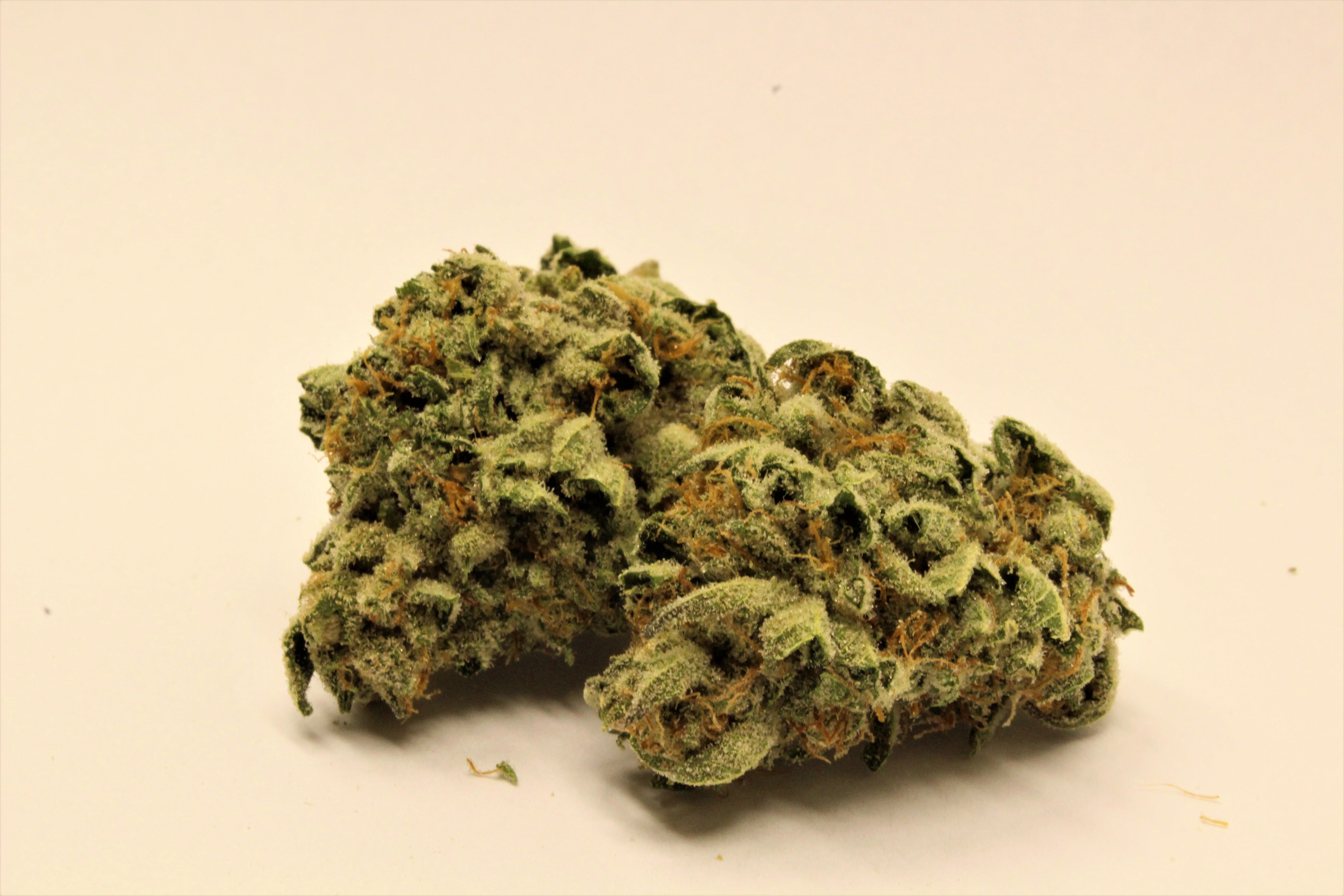 marijuana-dispensaries-green-degree-machen-in-wasilla-tropic-thunder