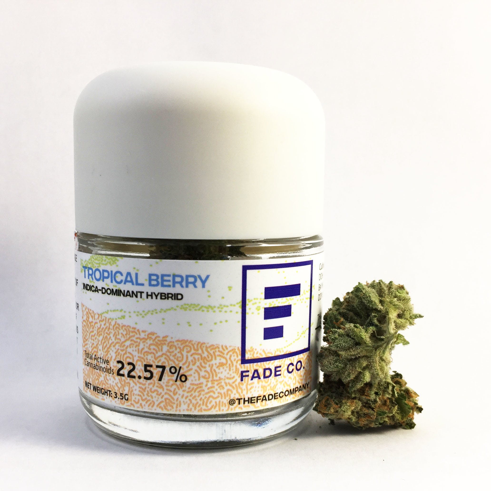 hybrid-tropical-berry-by-fade-co