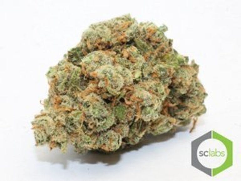 marijuana-dispensaries-27-spectrum-pointe-suite-305-lake-forest-tropical-haze-premium
