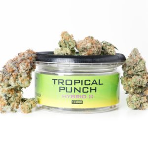 Tropical Punch - High Tolerance