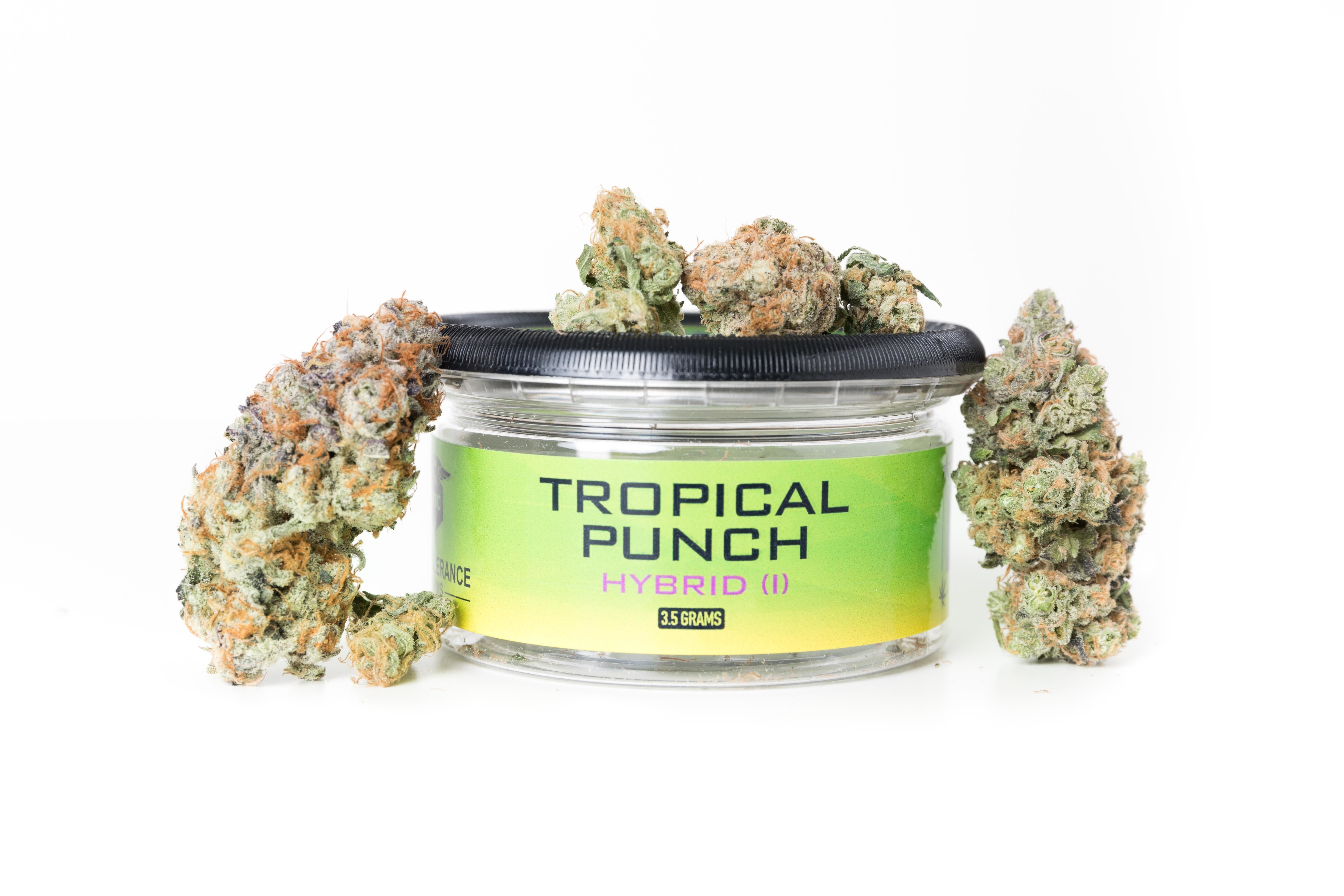 hybrid-tropical-punch-high-tolerance