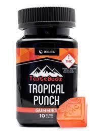 Tropical Punch Indica Gummy 100mg - Tastebudz