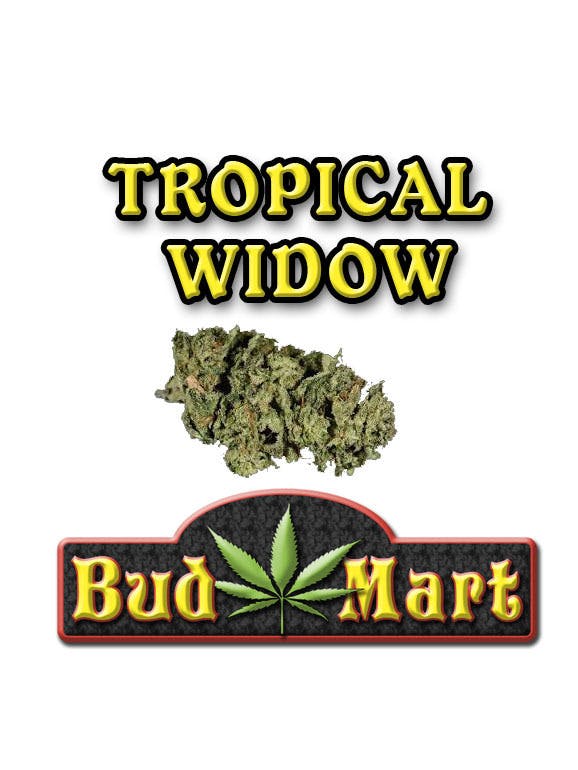 Tropical Widow