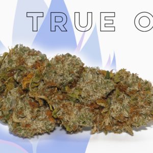 True OG - from Shore Natural Rx