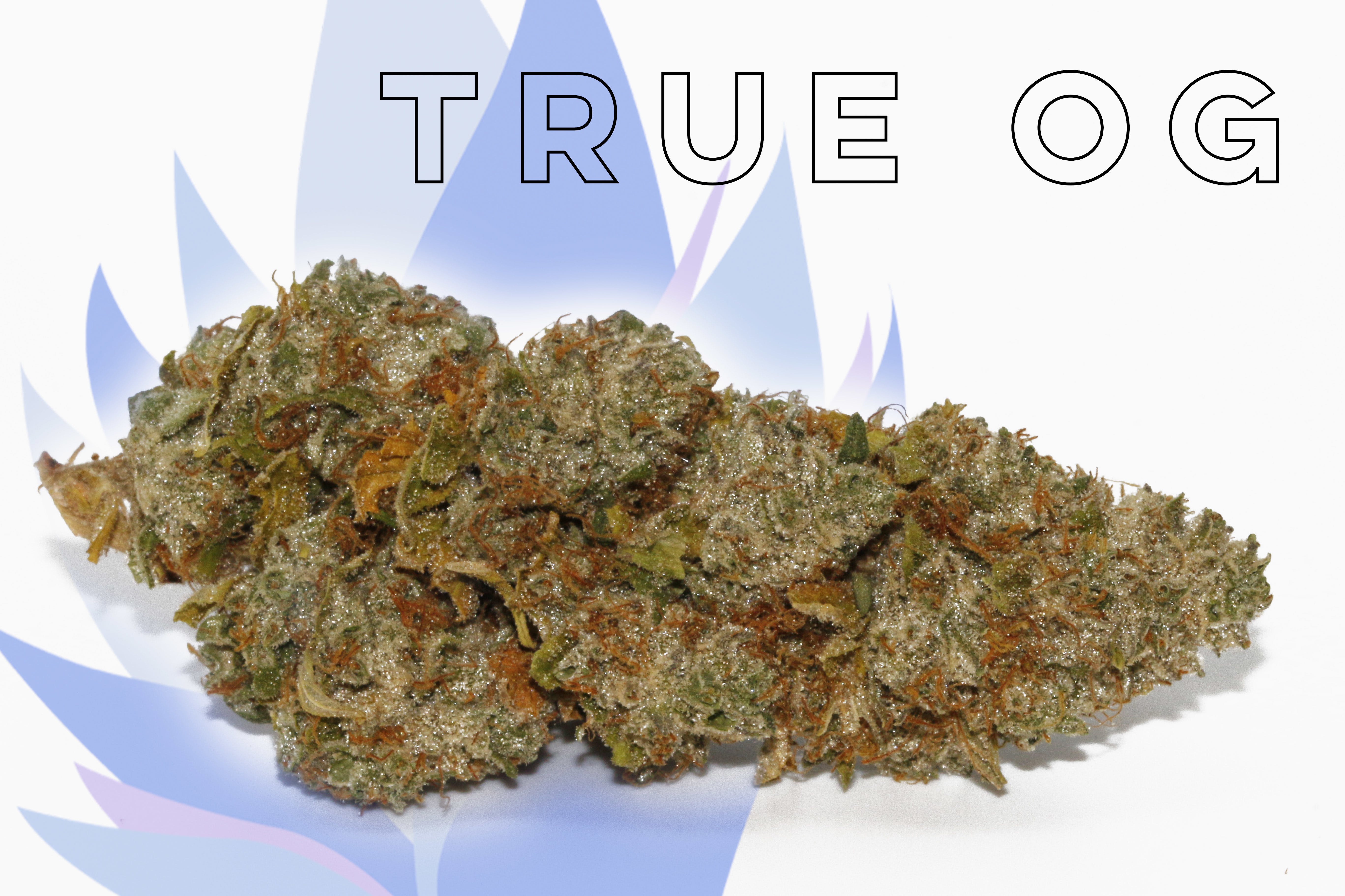 indica-true-og-from-shore-natural-rx