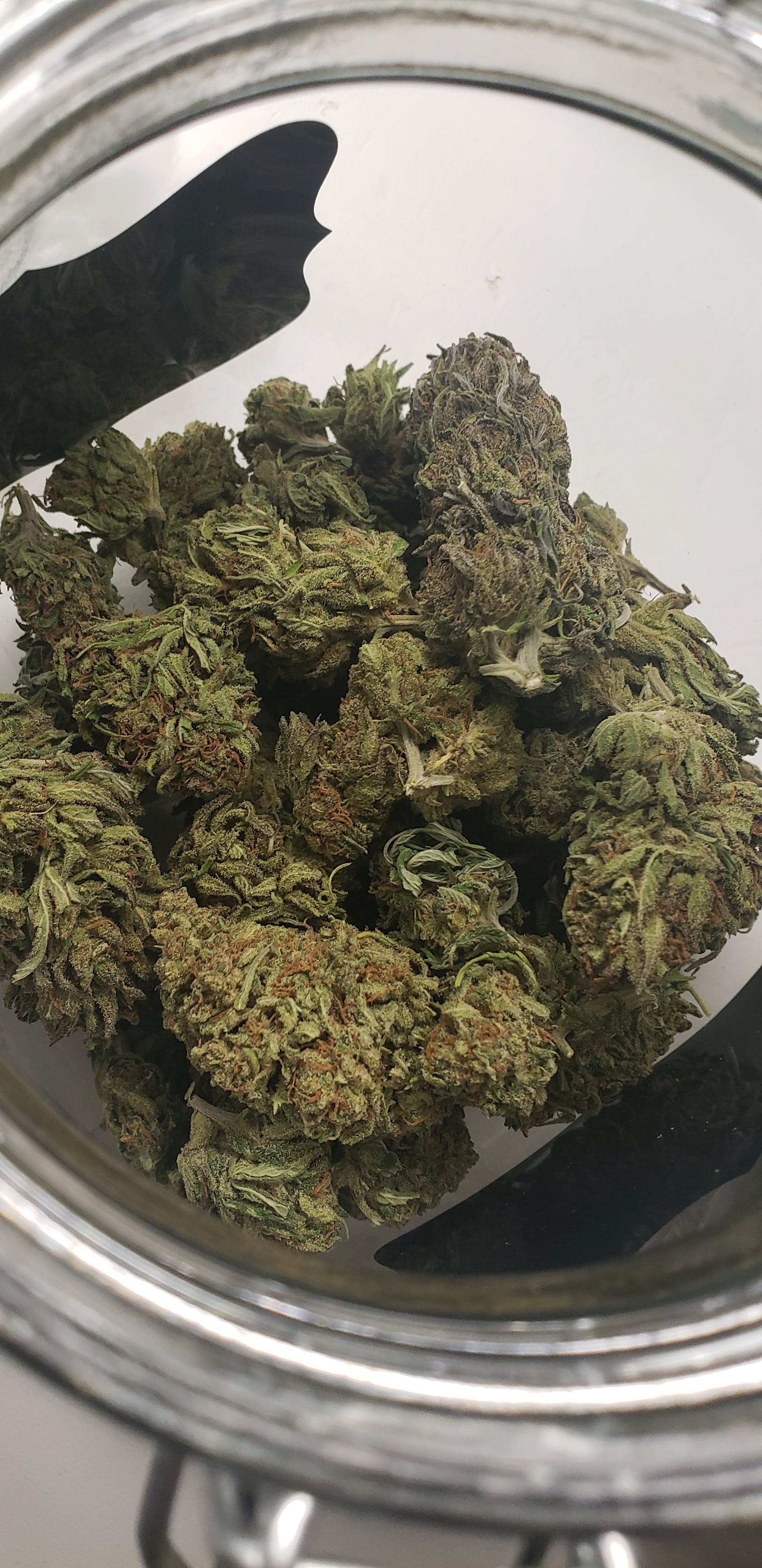 marijuana-dispensaries-outco-el-cajon-in-el-cajon-true-og