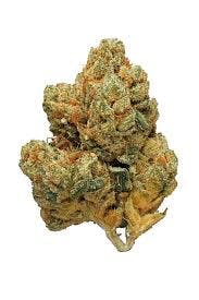 marijuana-dispensaries-20660-bahama-st-chatsworth-truth-sfv-og