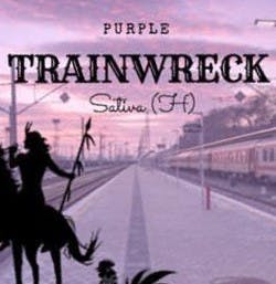 Tsaa Nesunkwa - Purple Trainwreck