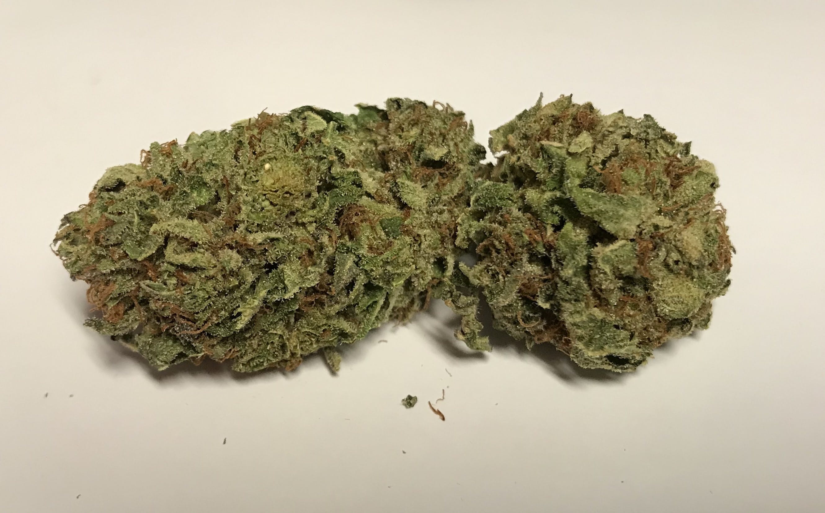 marijuana-dispensaries-green-grapes-2c-capes-and-vapes-in-york-tuna-kush
