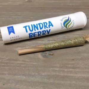 Tundra Berry Pre-Roll 0.5 Gram