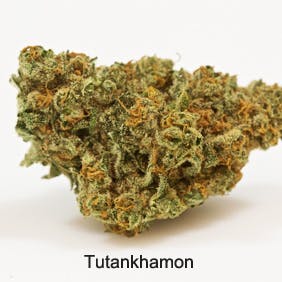 marijuana-dispensaries-alternative-therapies-group-recreationalmedical-in-salem-tutankhamon