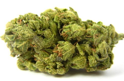 marijuana-dispensaries-8227-sunland-blvd-sun-valley-uk-cheese-5gfor30