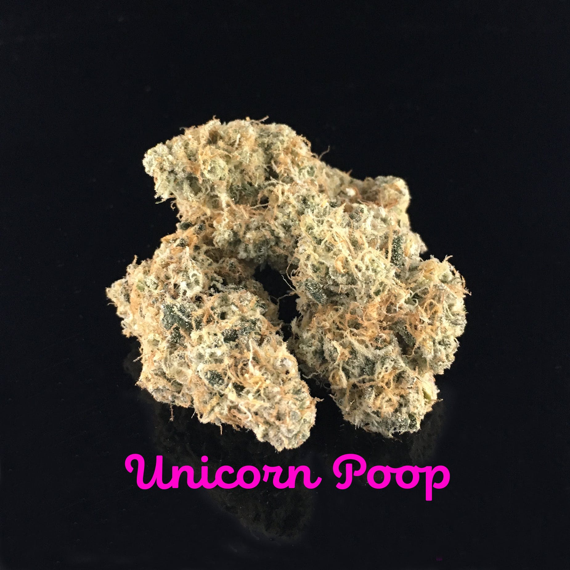 Unicorn Poop - 26.3% THC