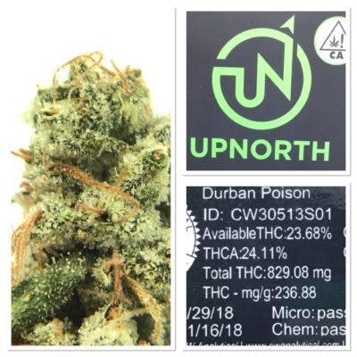 marijuana-dispensaries-chai-cannabis-co-in-santa-cruz-up-north-durban-poison