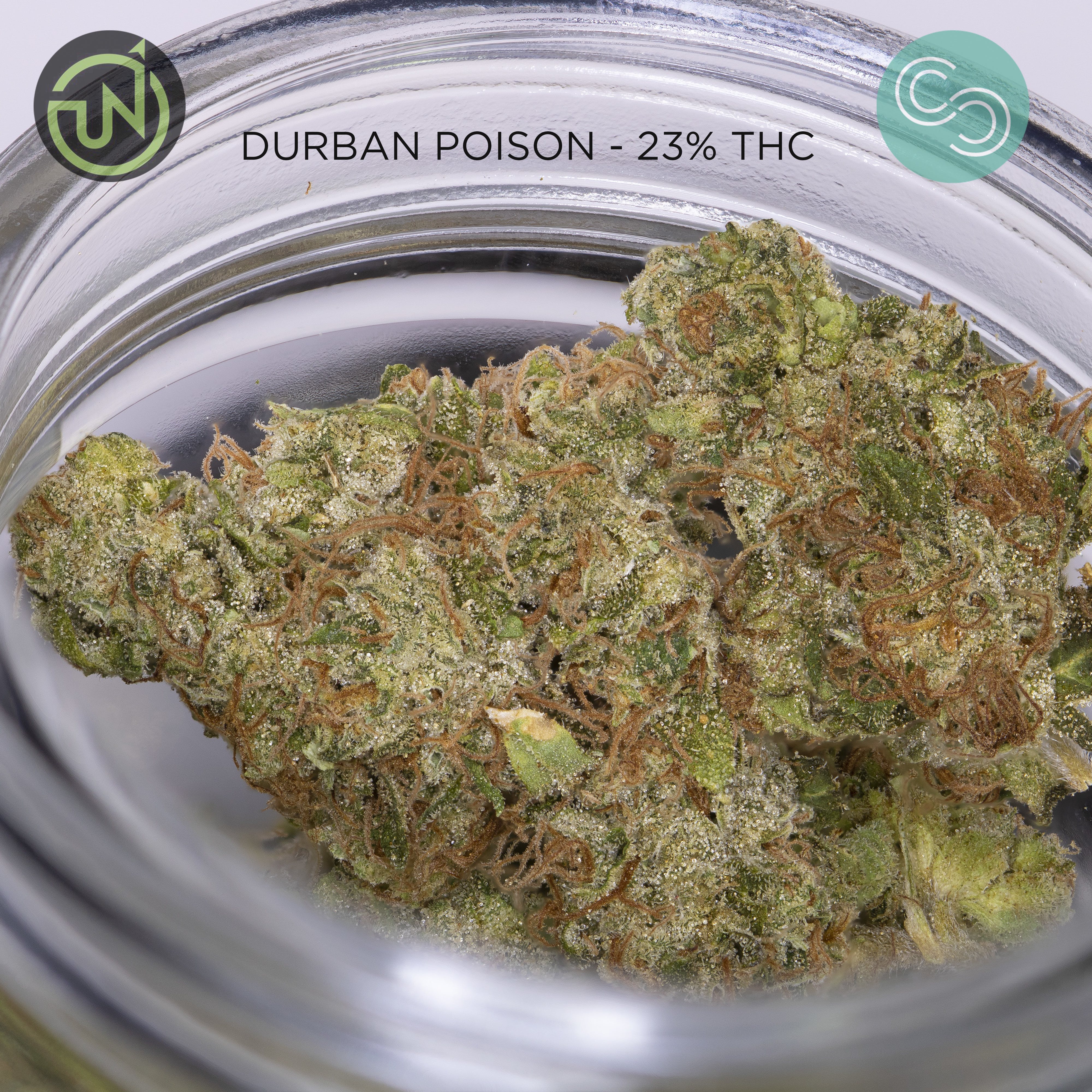 Upnorth - Durban Poison 23% THC