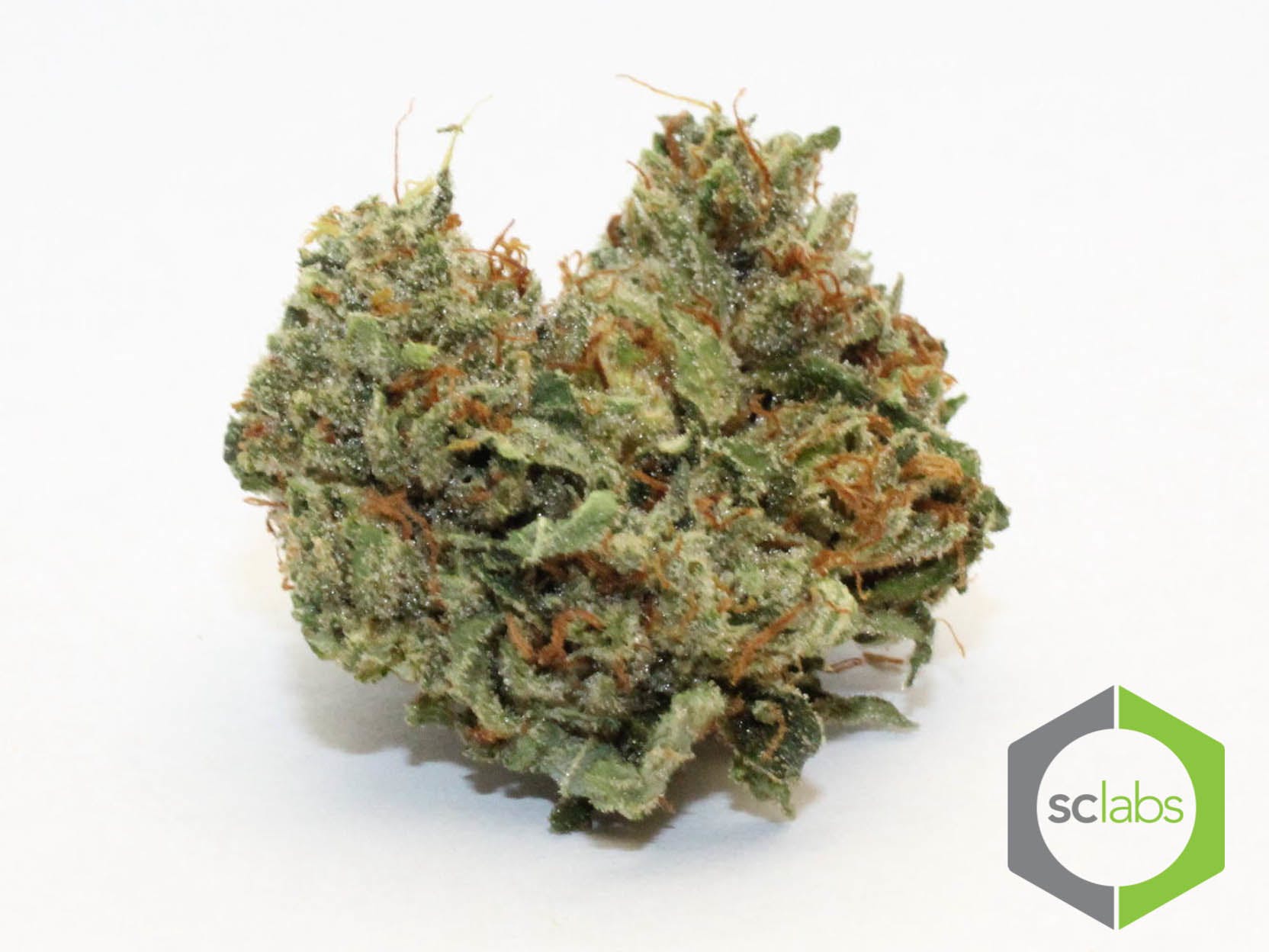 marijuana-dispensaries-coronas-best-buds-in-corona-vader-og-topshelf