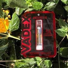 Vadex (Watermelon)