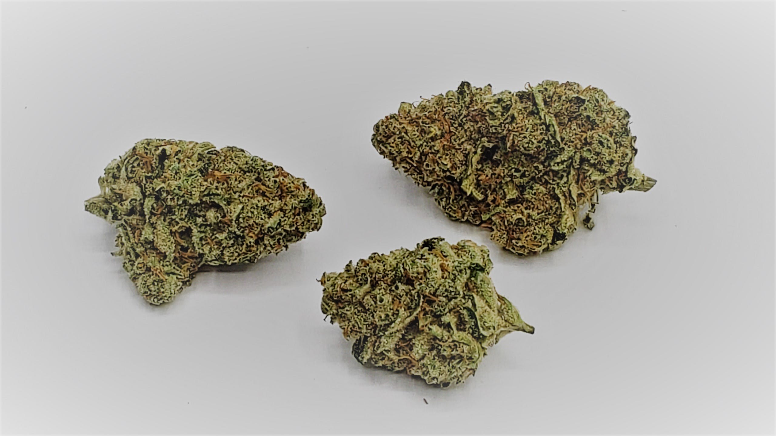 marijuana-dispensaries-675-main-st-lewiston-vanilla-og
