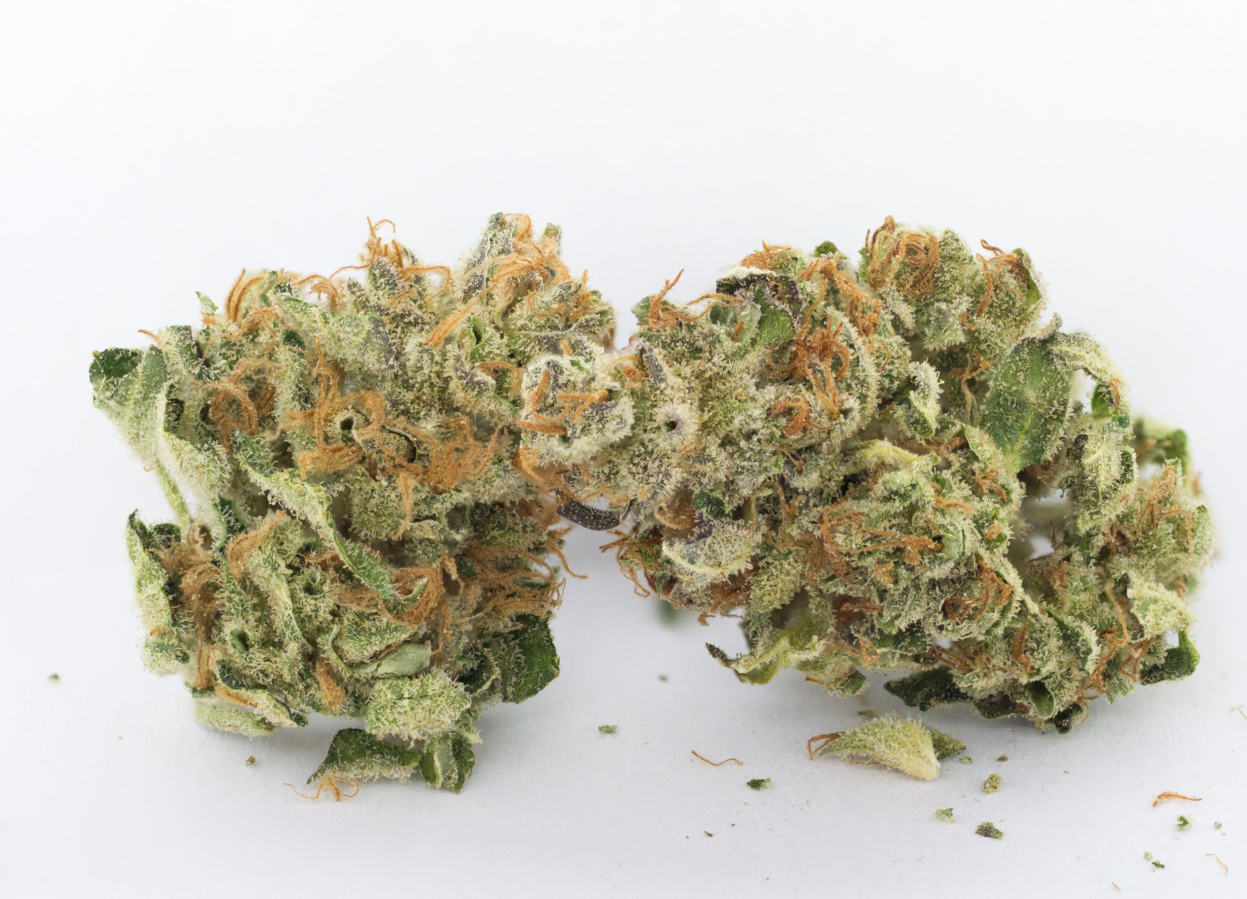 indica-versace-og-4-for-30-or-5-for