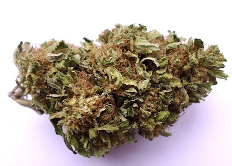 marijuana-dispensaries-9223-south-central-ave-los-angeles-very-berry-haze5for35