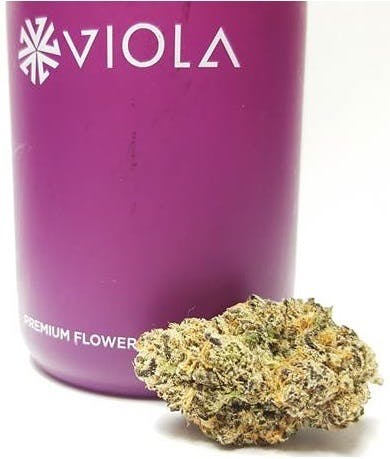 marijuana-dispensaries-the-healing-touch-in-encino-viola-peanut-butter-breath