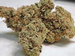 marijuana-dispensaries-3415-k-st-bakersfield-vip-champion-og-2oz270-qp530