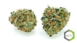 marijuana-dispensaries-1575-e-walnut-pasadena-vip-shelf-aloha-5g-40-2420