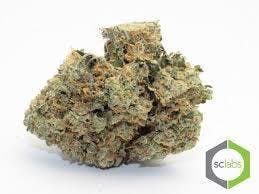 marijuana-dispensaries-1575-e-walnut-pasadena-vip-shelf-chronic-glue-5g-40-2420