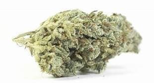 marijuana-dispensaries-the-20-spot-in-van-nuys-vip-silverback-2oz270-qp530