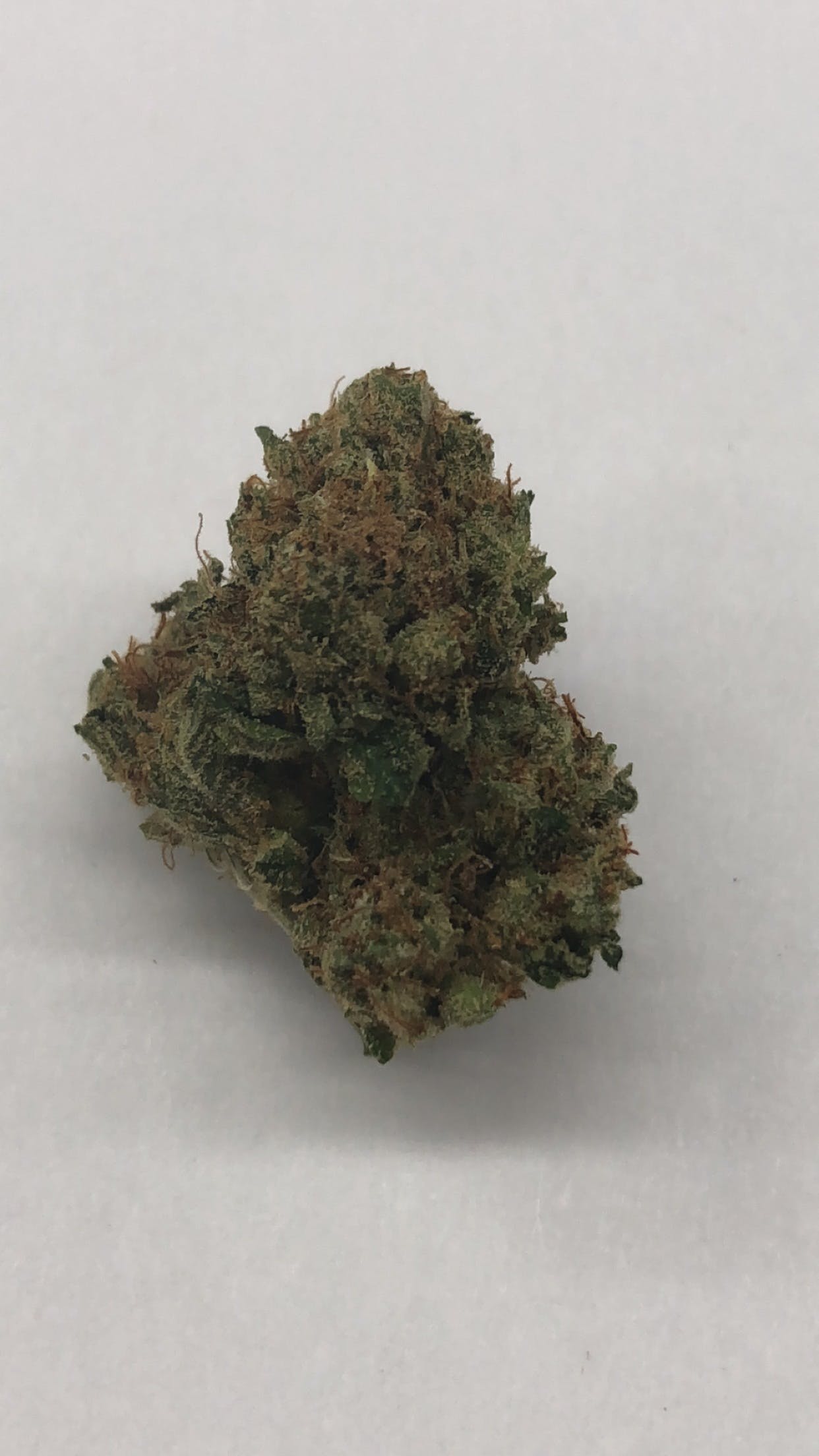 marijuana-dispensaries-1141-santee-suite-d-los-angeles-vip-wu-tang-og