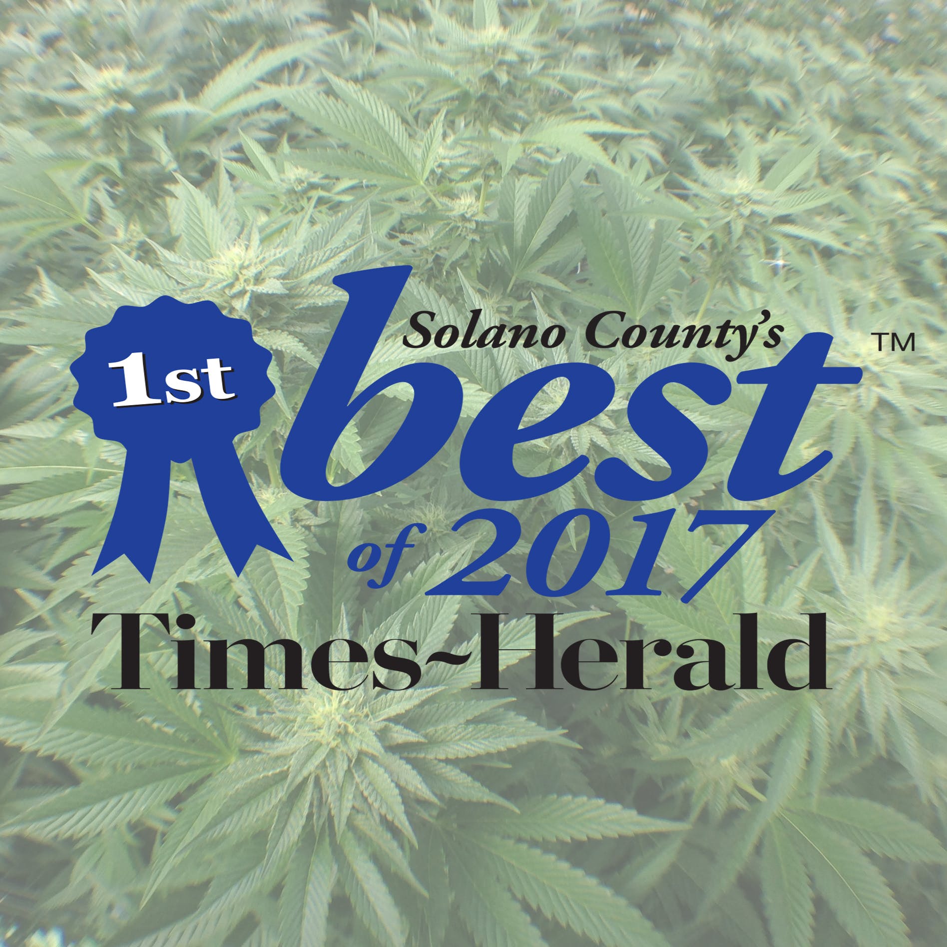 Voted Vallejo's #1 Medical Cannabis Safe Access Point!