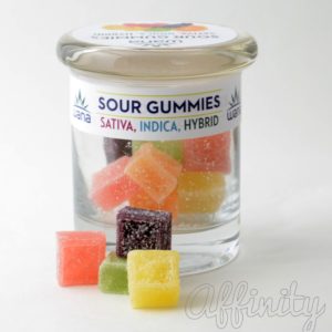 Wana Gummies Assorted Flavor 100mg