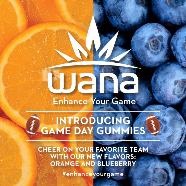 edible-wana-hybrid-blueberry-gummies-2c-100mg