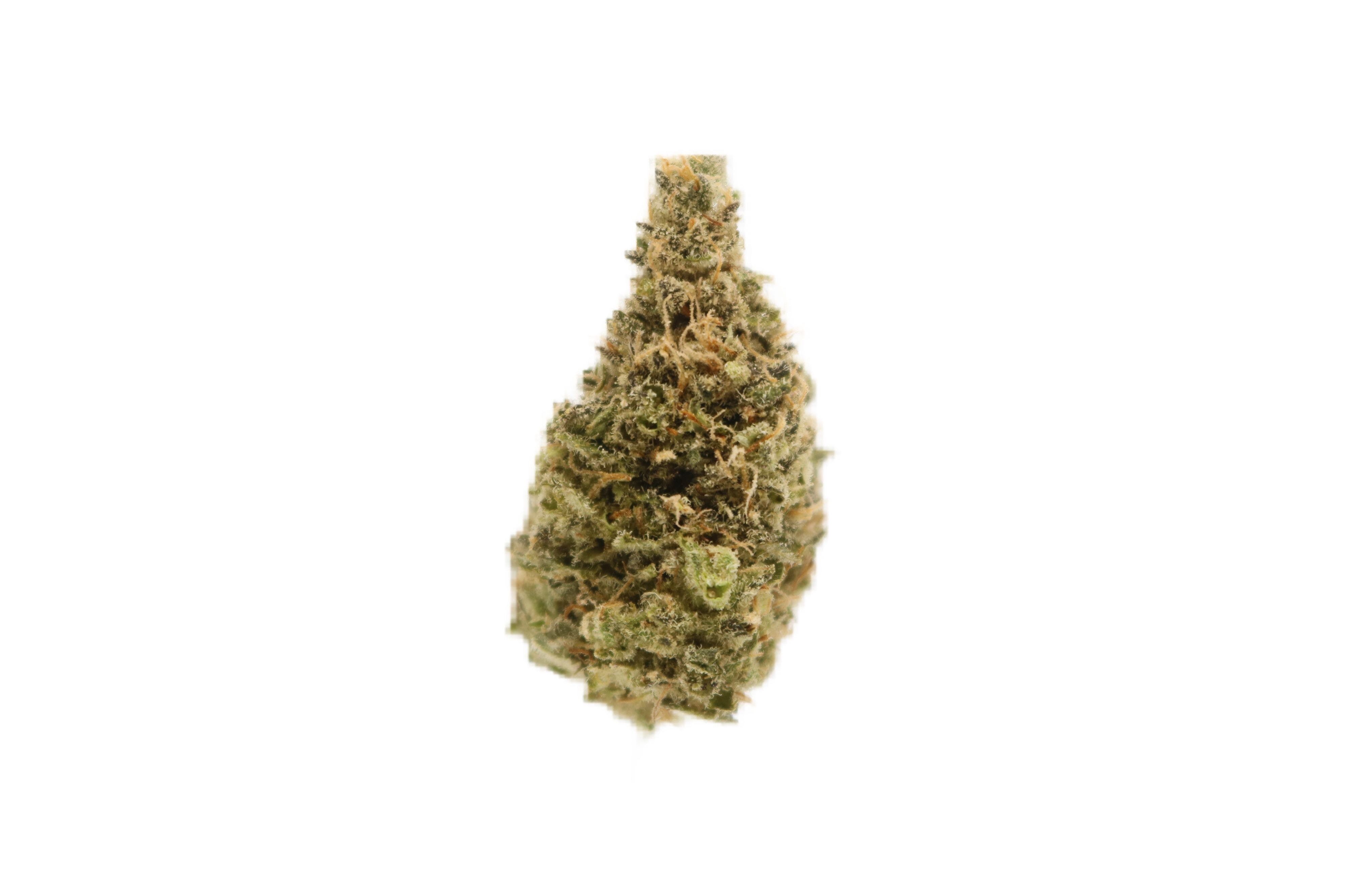 marijuana-dispensaries-d2-dispensary-in-tucson-wappa-cold-cured