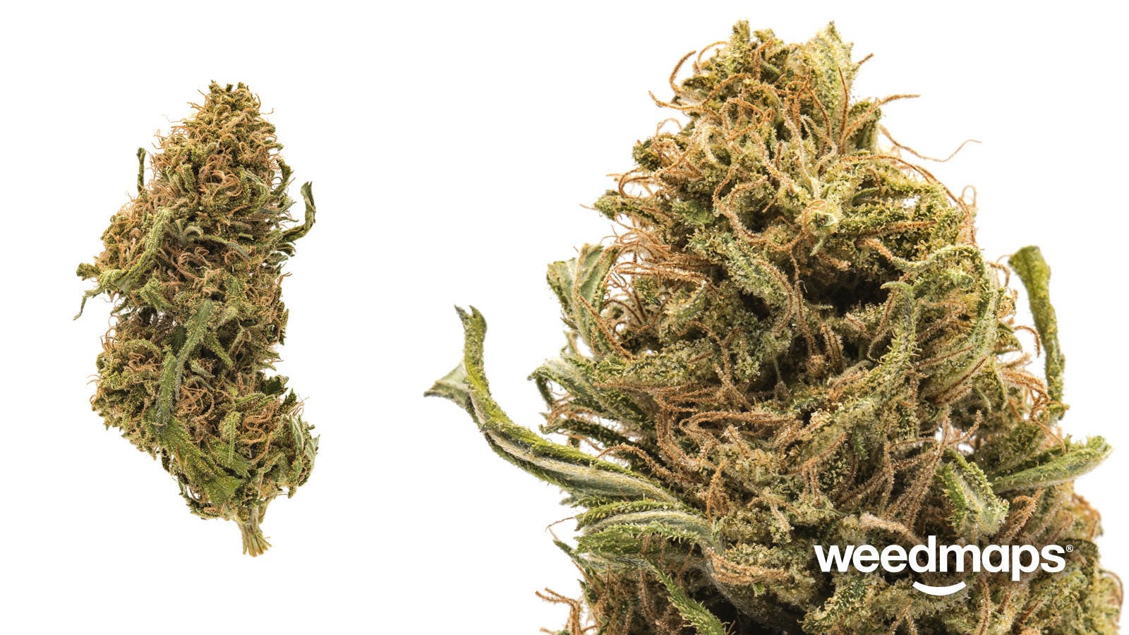 marijuana-dispensaries-3-kings-organics-in-the-dalles-wappa