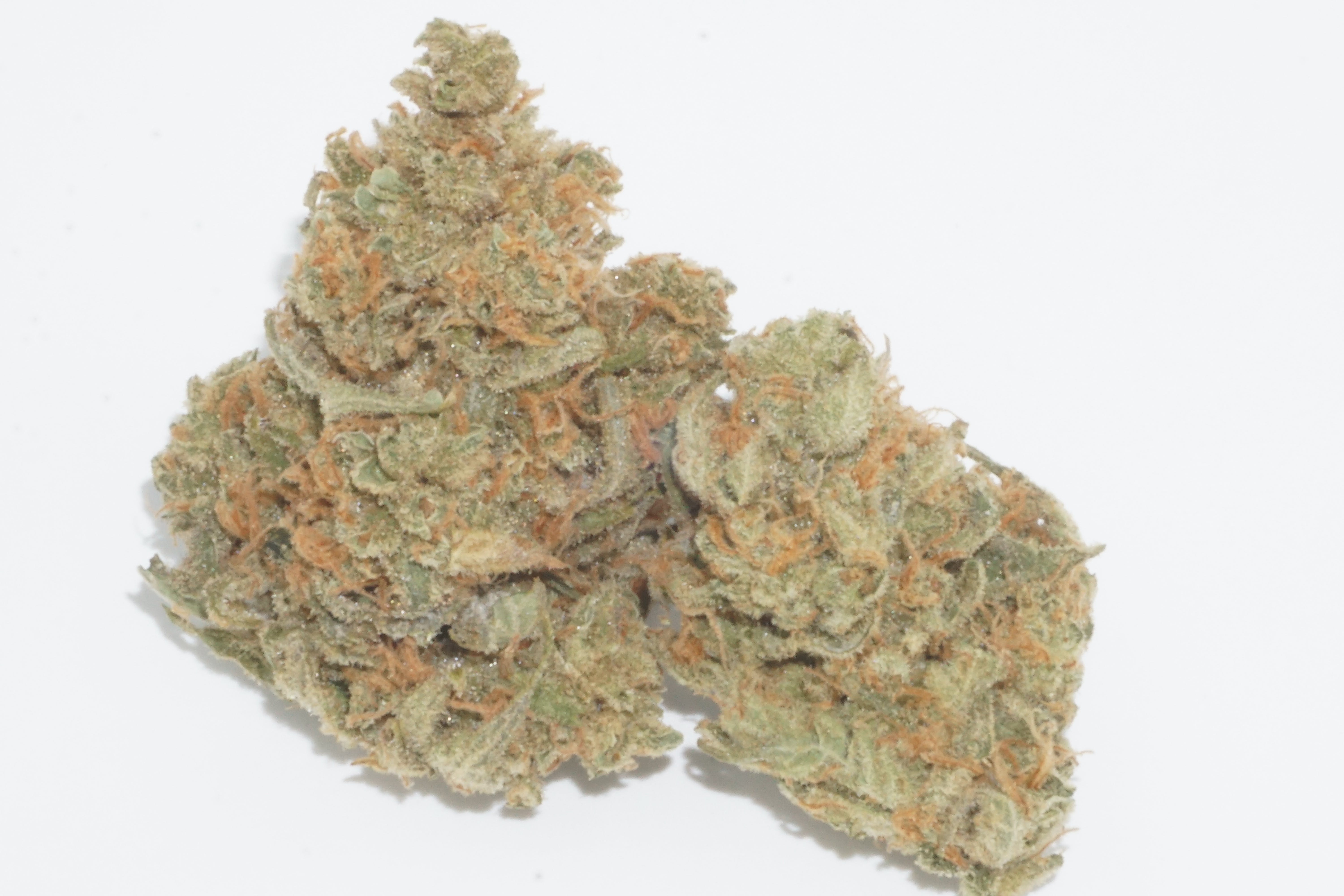 marijuana-dispensaries-4213-mchenry-ave-suite-e-modesto-wcs-super-lemon-haze-26-25-thc
