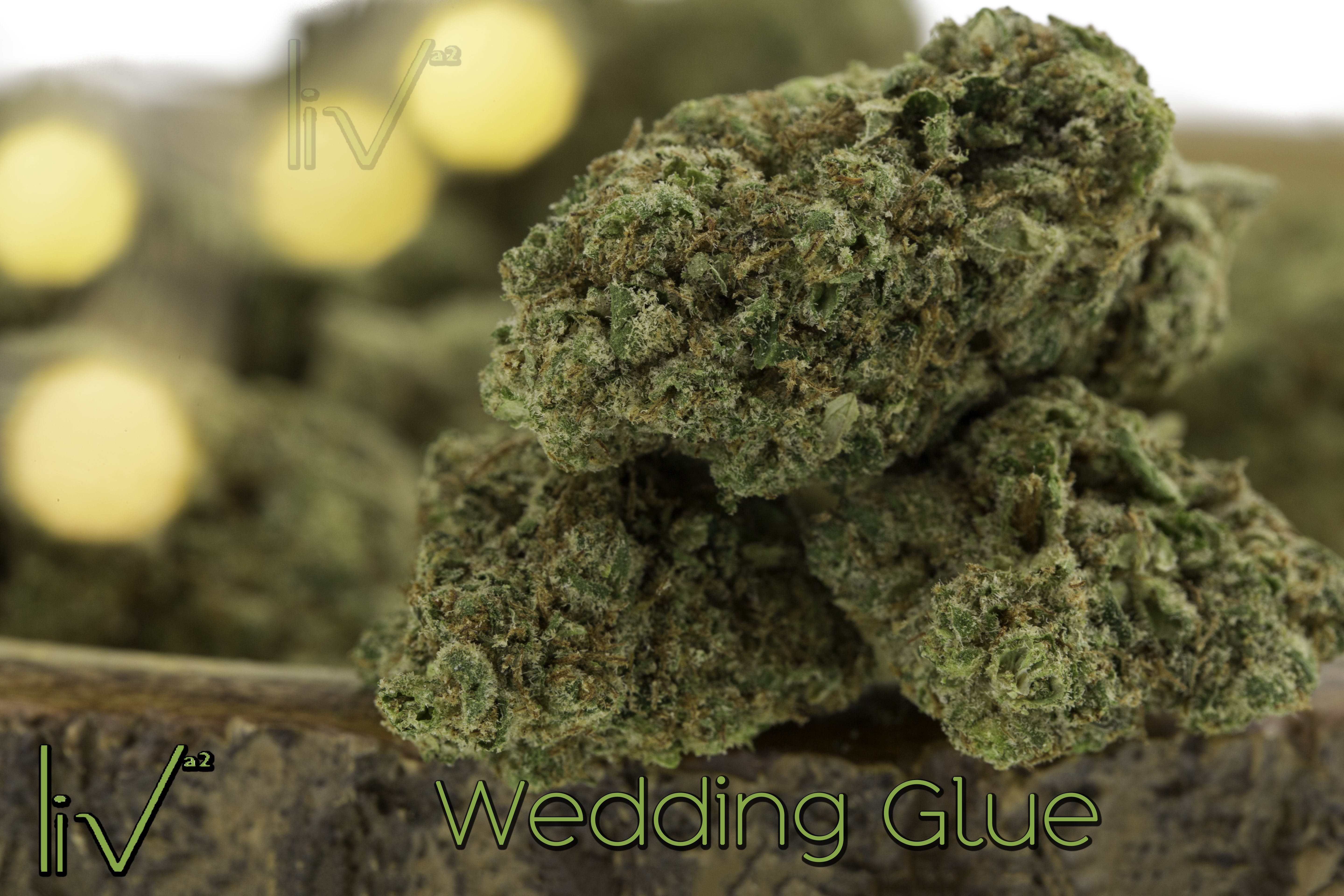 marijuana-dispensaries-603-e-william-st-ann-arbor-wedding-glue-hybrid-indica