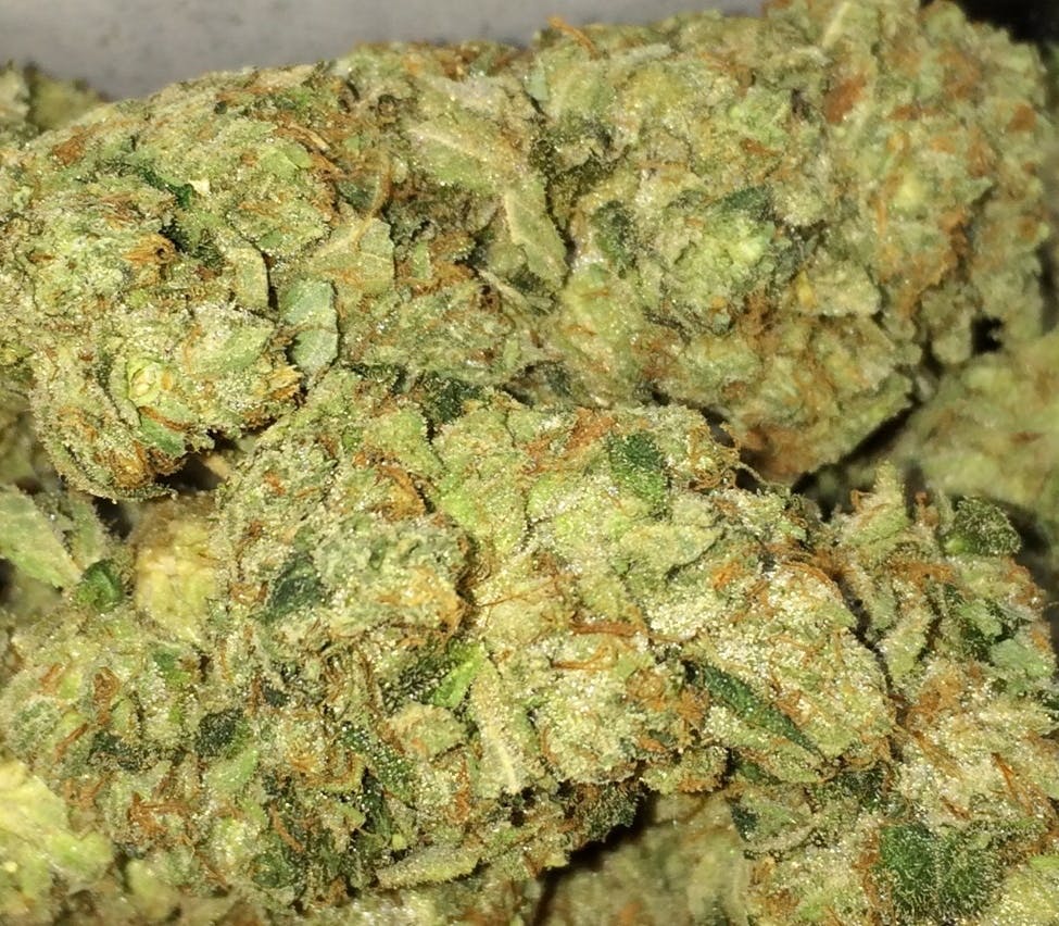 marijuana-dispensaries-kush-25-in-wilmington-wellness-og